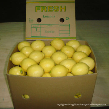 Calidad exportada de limón fresco chino /